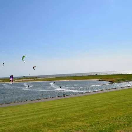 Seegras * Büsum