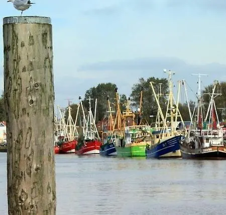 Seegras Büsum