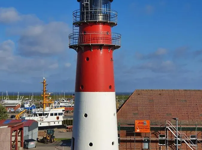 Seegras * Büsum